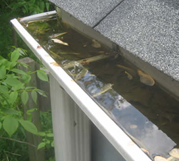 Gutter Cleaning Specialists Royal Oak MI