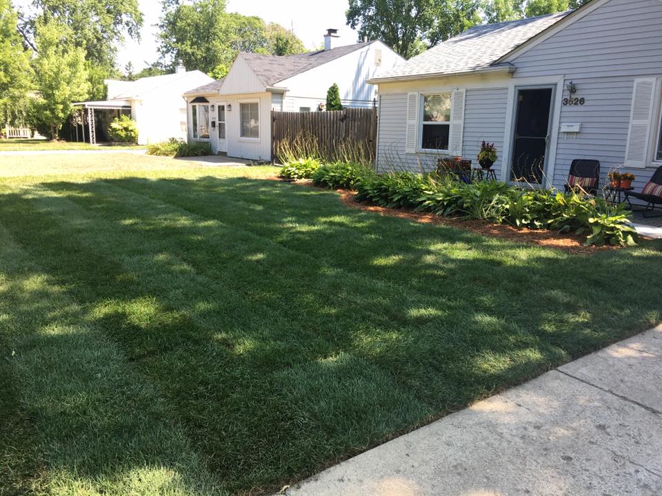 Local Area Landscaper Fertilizing Grass Services near Royal Oak, Birmingham and Troy MI